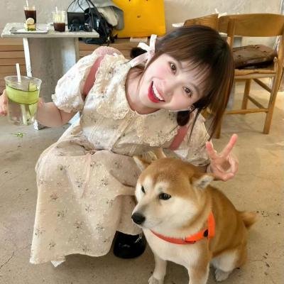 真假三莎伦